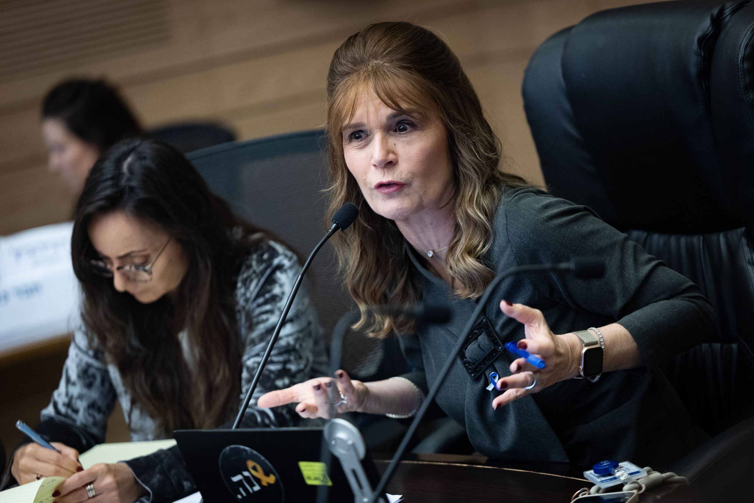 "הציבור שלנו חכם. הוא יודע מי עובד עבורו ומי רק צועק" מיכל וולדיגר. צילום: יונתן זינדל, פלאש 90