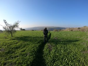 נחל מיצר