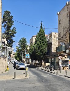 רחוב צפניה
