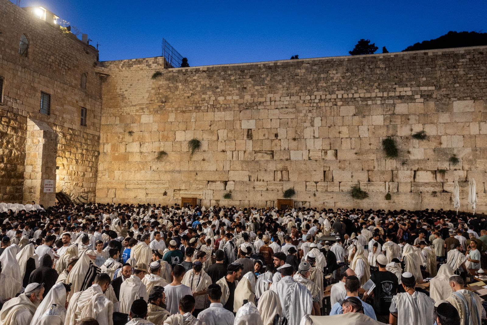 יום של חשבון נפש. יהודים מתפללים בכותל, בצום תשעה באב. צילום: חיים גולדברג, פלאש 90
