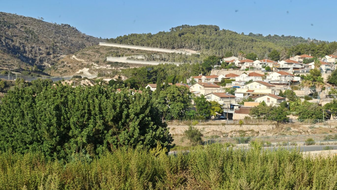 שלומי. צילום: קובי פינקלר