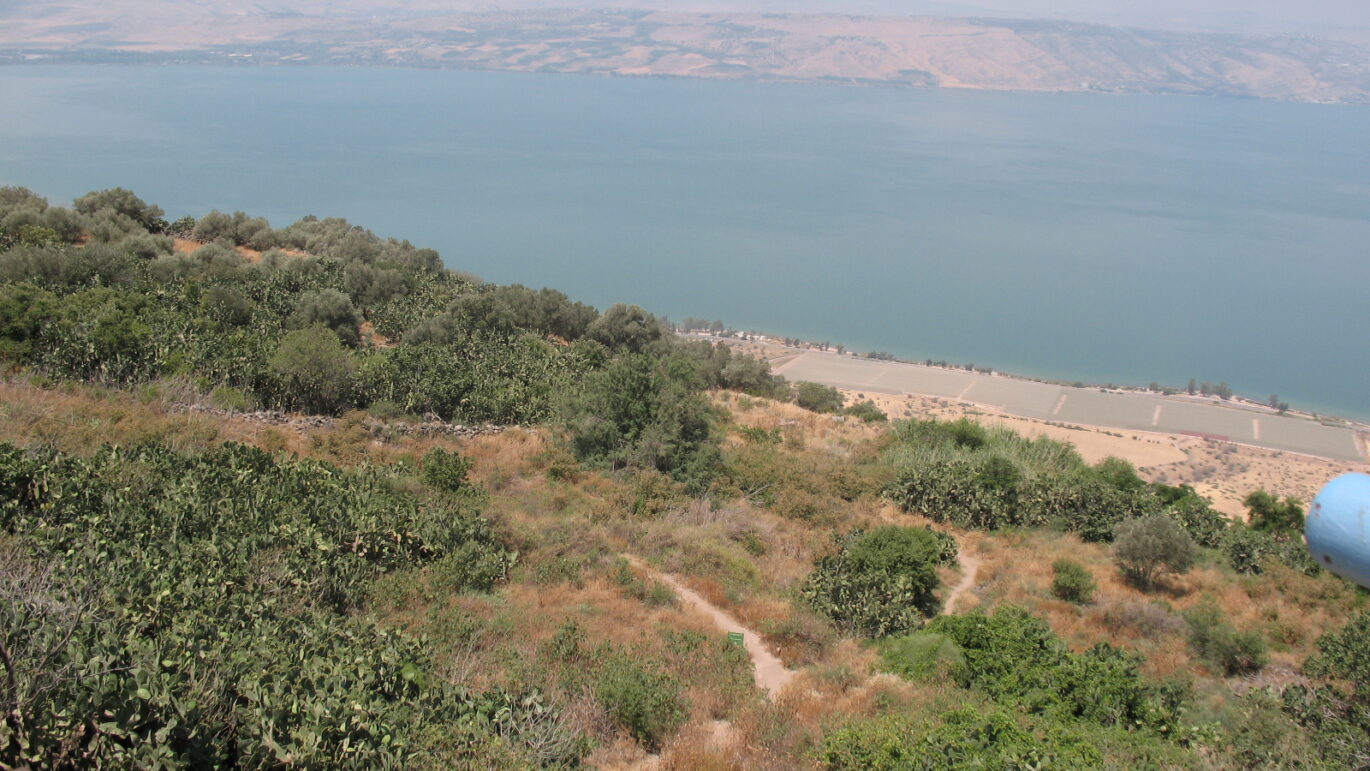 צילום: קובי פינקלר