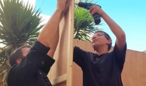 צילום: יח"צ