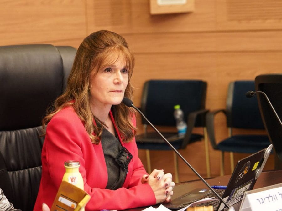 צילום: רן מלמד