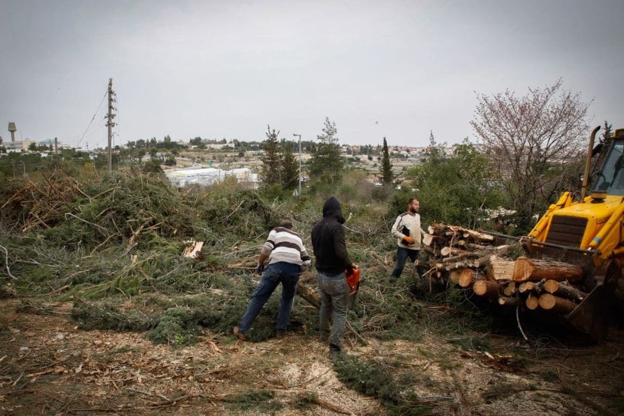 פועלים פלשתינים. צילום: גרשון אלינסון, פלאש 90